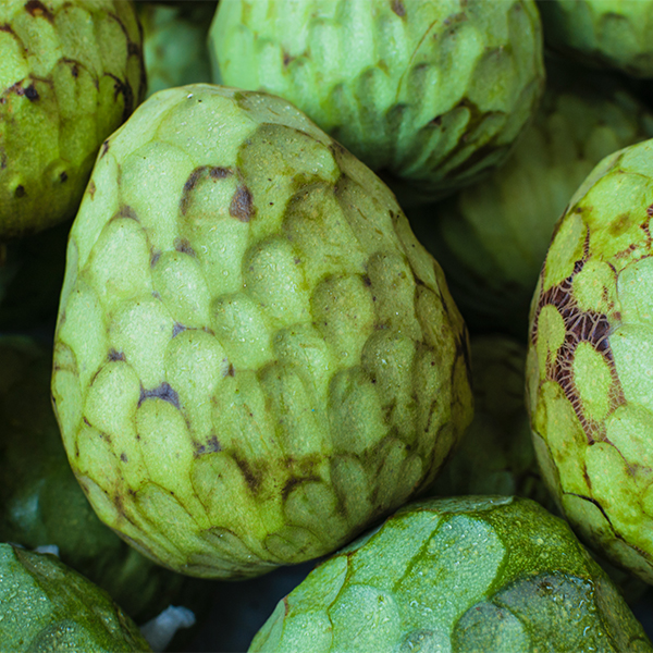 Cherimoya